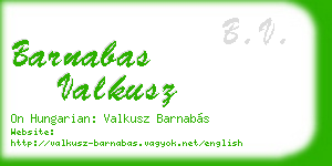 barnabas valkusz business card